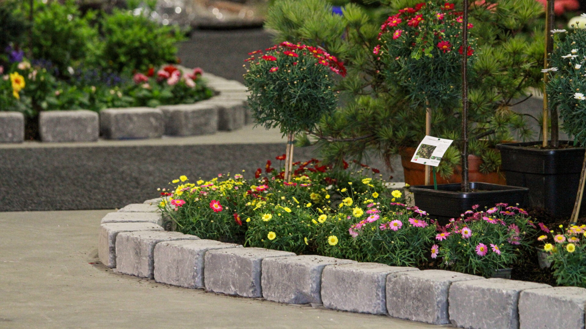 Norske blomster og planter står i fokus på Hagemessen